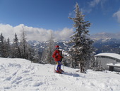 Skifahren im Snow Space Flachau