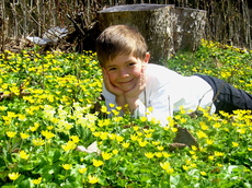 Blumenwiesen so weit das Auge reicht