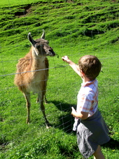 kinderfreundliche Umgebung