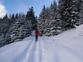 Skitourengehen