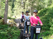Geführte Segwaytouren im Wald