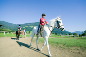 Reiterhöfe in der nahen Umgebung